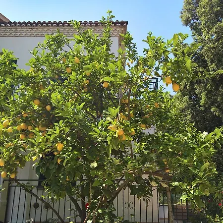 Cala Del Citro Hotel 3*