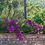 Hotel Cala Del Citro
