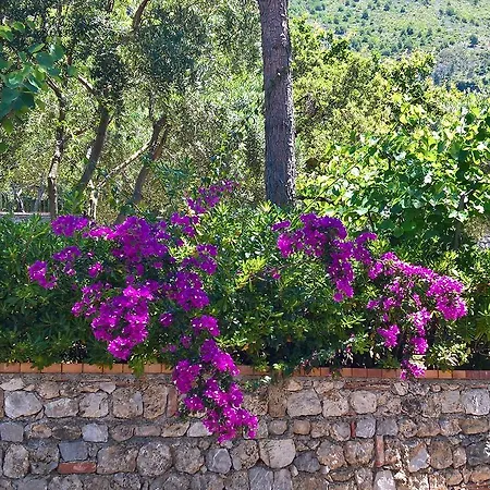 Hotel Cala Del Citro