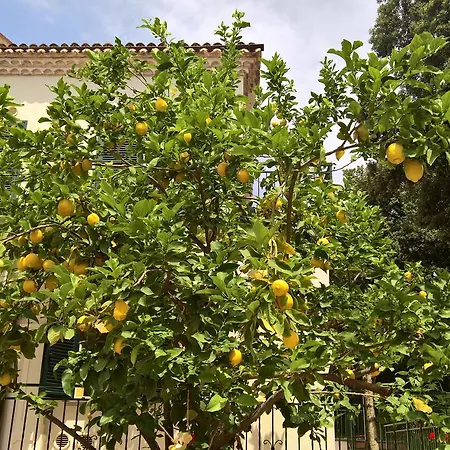 Cala Del Citro 3* Maratea