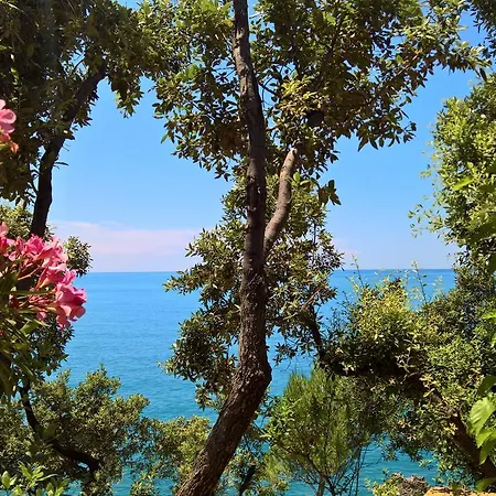 Cala Del Citro