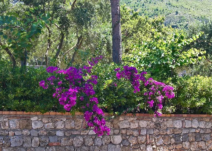 Hotel Cala Del Citro