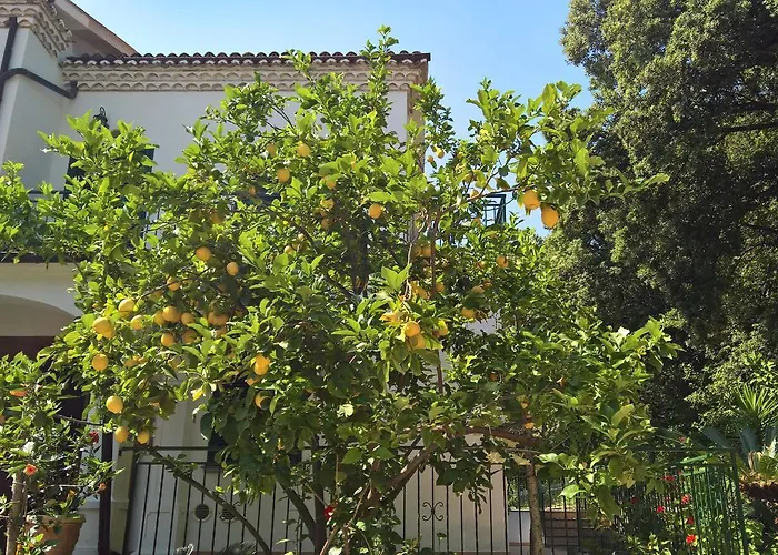 Cala Del Citro Hotel 3*