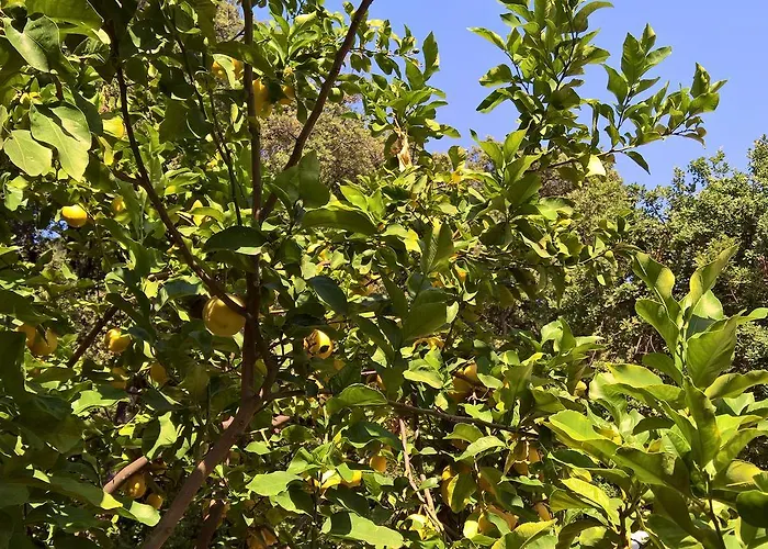 Cala Del Citro Hotel